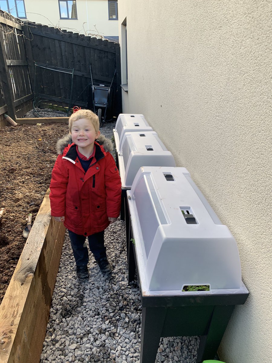 CfgsClub's tweet photo. @cfgs #cfgs staff &amp; students share your veggie garden or allotment. This is my son Henry, we planted strawberries, carrots and cauliflower after school today in raised covered planters. We will share 2020 successes and failures. Mrs Wills #growyourown #GardenersWorld https://t.co/mxYqfBdeLH