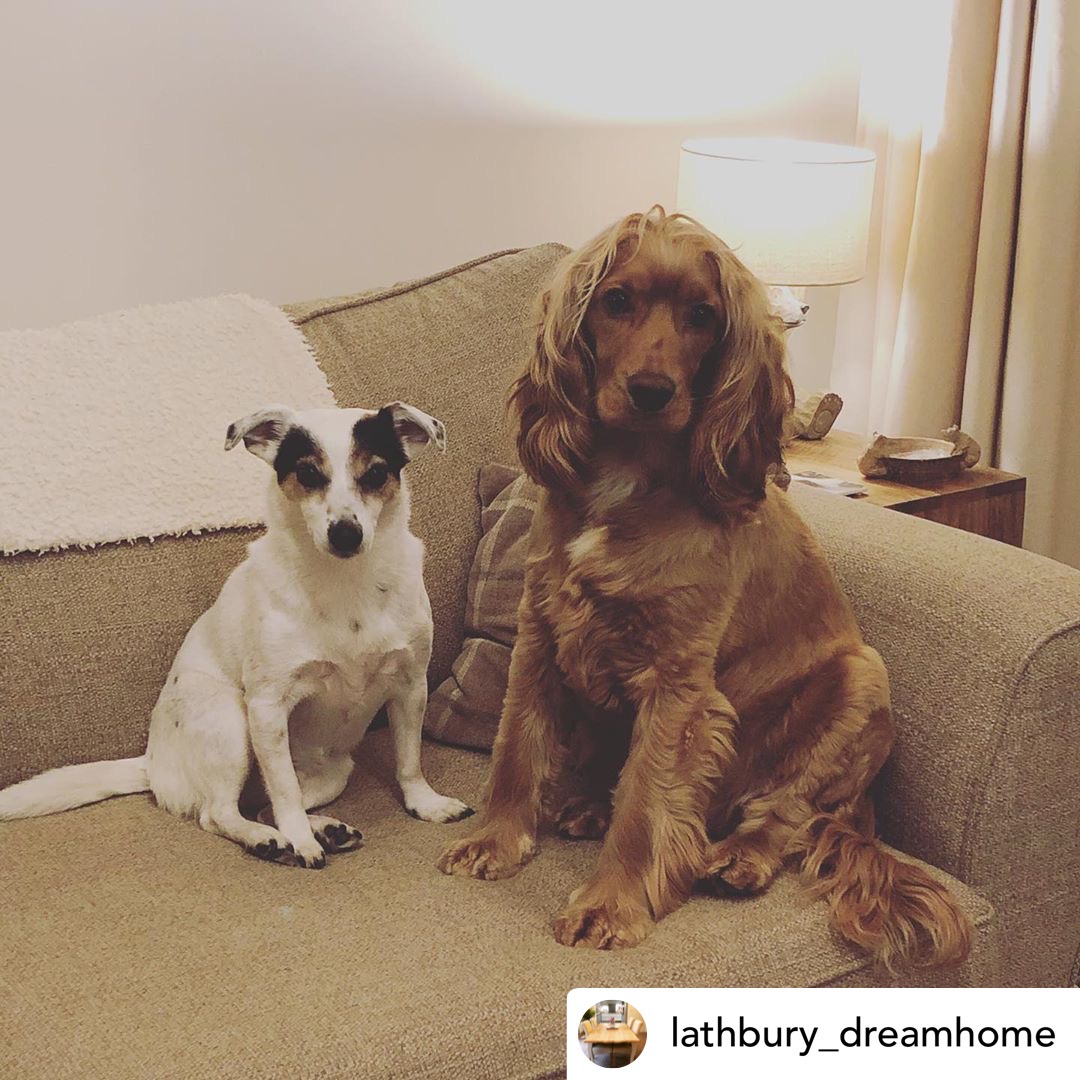 AvantHomes's tweet photo. FINALLYβ¦weβve done it! πππ
The long-awaited home for all your pet pics is here and has officially been added to our Instagram story highlights! πΆπ±πΉ
Check out #AvantPets on Instagram now, and never miss any paw prancing, whisker twitching or cuteness overloads ever again! https://t.co/Zu4ooRiToi