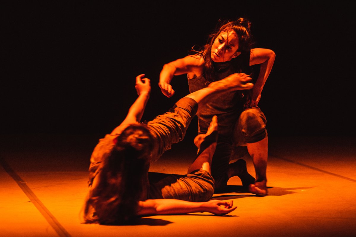 Phoenix Dance Theatre tweet media