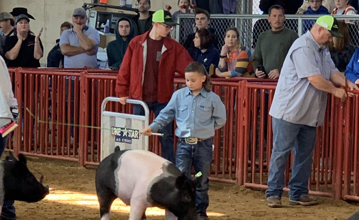 boswellhs's tweet photo. So proud of all of our students showing their pigs today at #TCJLS @EMSISD_CTE @NikaDavis11 ππ #PioneerPride #BOSproud https://t.co/O8h59qoY8m
