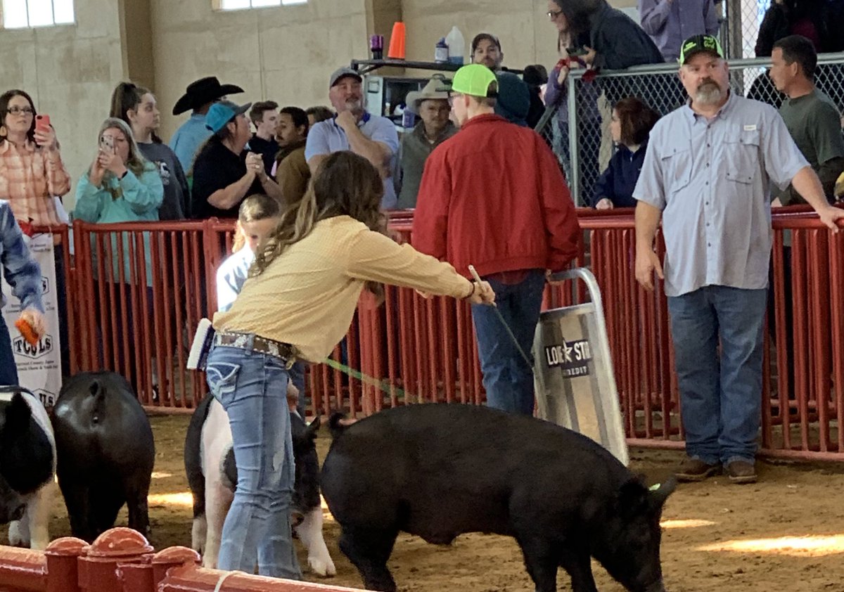 boswellhs's tweet photo. So proud of all of our students showing their pigs today at #TCJLS @EMSISD_CTE @NikaDavis11 ππ #PioneerPride #BOSproud https://t.co/O8h59qoY8m