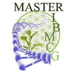 SWIValencia's tweet photo. Ja estem en marxa preparant un projecte MOTIVEM en col·laboració entre @master_ibmcg @BiologiquesUV @MuFcorporativas @FdEconomiaUV https://t.co/o7JpKXBOe4