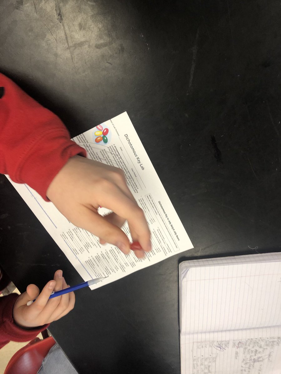 SciencewStewart's tweet photo. It’s a flavorful day @PershingPandas Using a dichotomous key to identify Jelly Belly’s and creating scientific names like Lemonus Tastius #flavorsofscience https://t.co/uMUnYYZniP