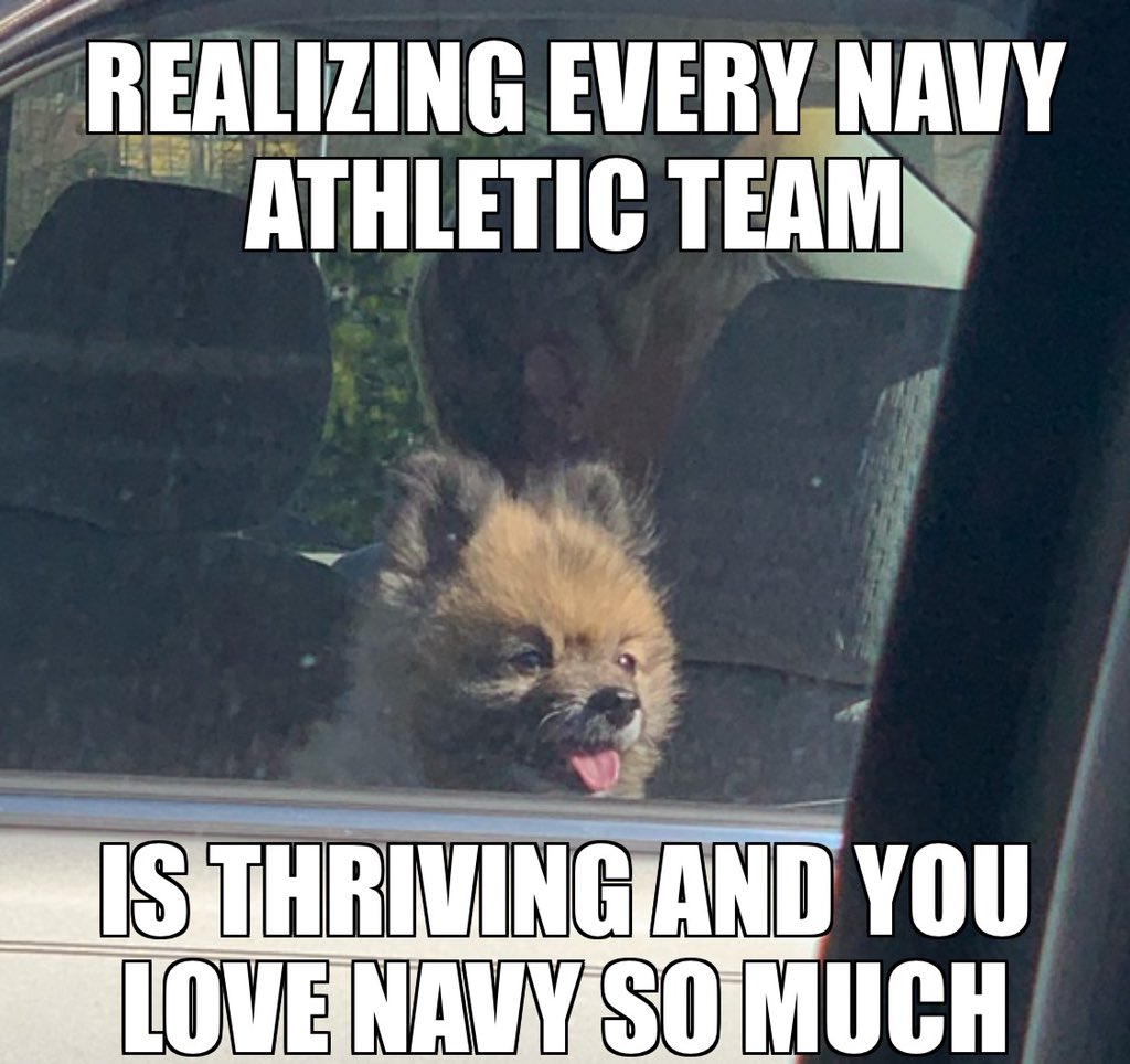 FQNavy's tweet photo. It’s Friday. Sure we miss @NavyFB, but @NavyAthletics is thriving. Shoutout to @NavyBaseball and @NavyMensTennis with some good starts to the season. Let’s keep #sailingtovictory https://t.co/5zI1kfM7je
