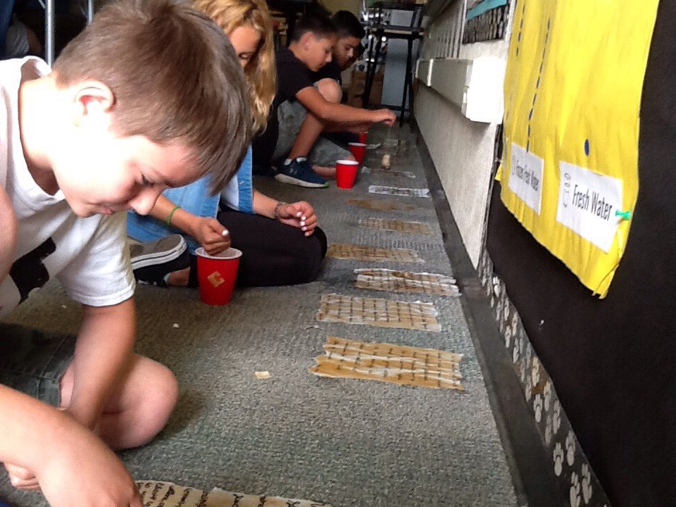 mrsvannelli's tweet photo. Making our CURSIVE preambles antique using tea! @PVSDCamarillo @RanchoRosal #tea #art #preamble #studentpost https://t.co/CLPGWvK0aG