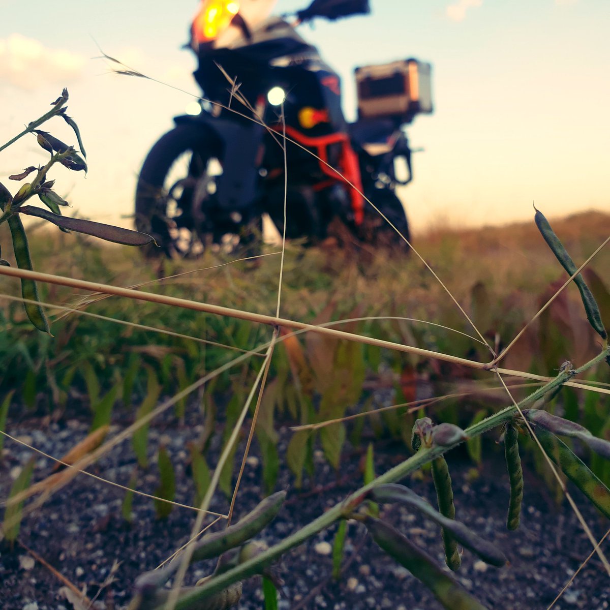 ted_pops's tweet photo. #AngelaMerkel in her natural environment!
#Sunset #Dusk #TheSunChaser #AdsictedToTheSun #KTM #KTMAdventure #TheOrangeArmy #FastKTM https://t.co/zfcIqe6lhi