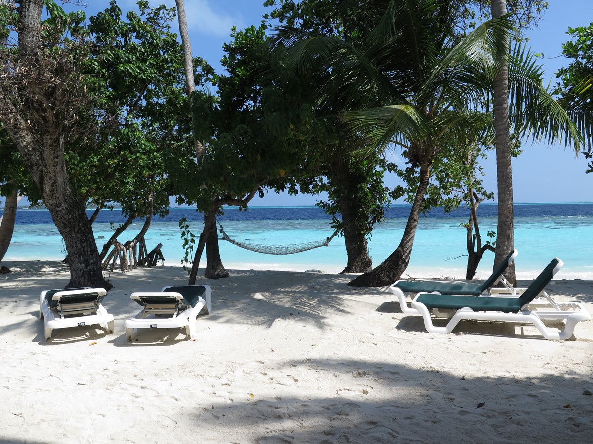 diveworldwide's tweet photo. "I'm happy to report that #VilamendhooIsland is still a GREAT place to go! The staff are so friendly & welcoming. The diving, amazing. Saw mantas, turtles & a pod of dolphin on our safety stop!"
Thank you Cynthia & Simon - back from the #Maldives.
#FridayFeedback #diveworldwide https://t.co/bkkGEjTBhB