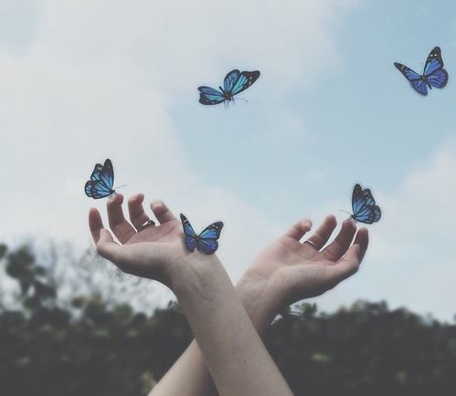 Libreriamo's tweet photo. Non sono un uccello; e non c’è rete che possa intrappolarmi: sono una creatura umana libera, con una libera volontà. 

💘

Charlotte Brontë

#ImAWoman https://t.co/ZqQhhnfACJ