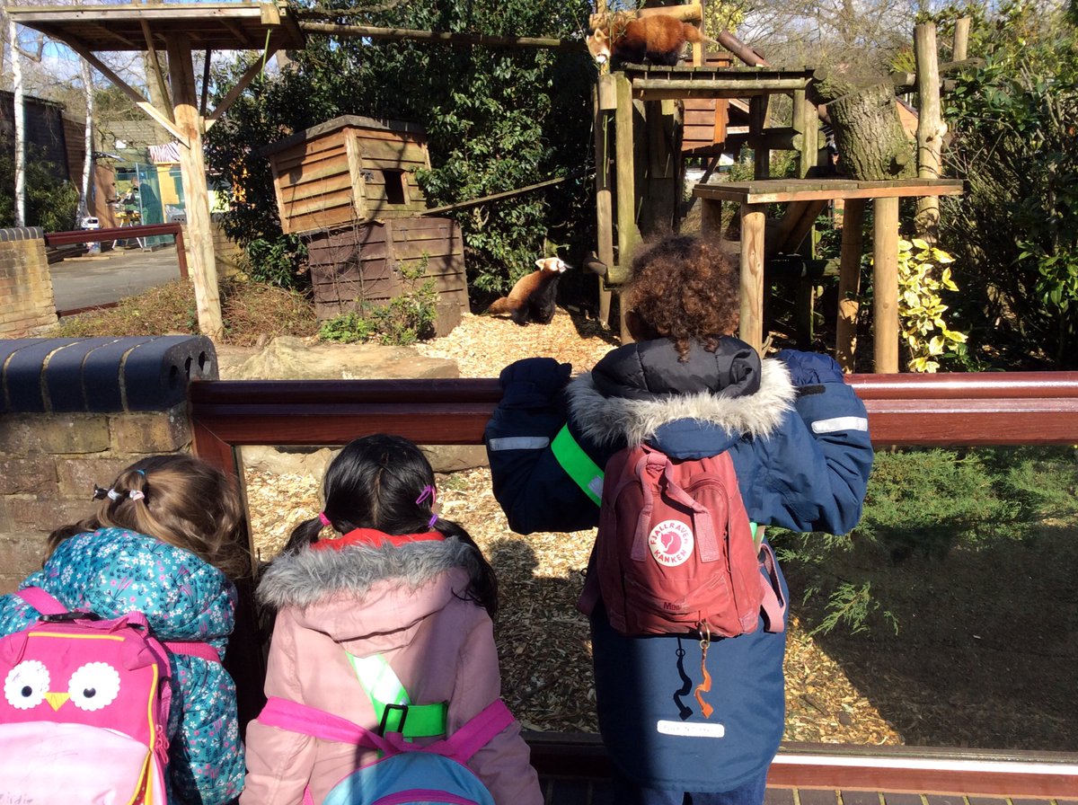 We looked for the meerkats all over the park!