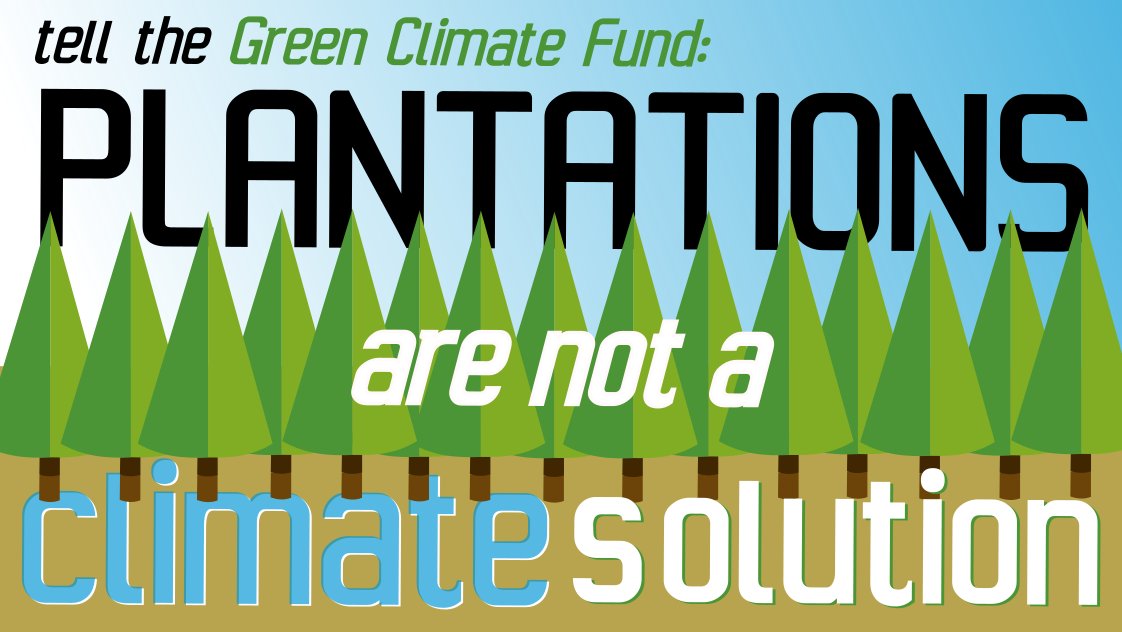 GFC_forests's tweet photo. 📢📢No climate finance for monoculture tree plantations! Tell @theGCF to say no to #ArbaroFund #PlantationsAreNotForests #No2FalseSolutions #GreenDeserts ➡️➡️ https://t.co/aRmoH2r58g https://t.co/k3IPMLuxwZ