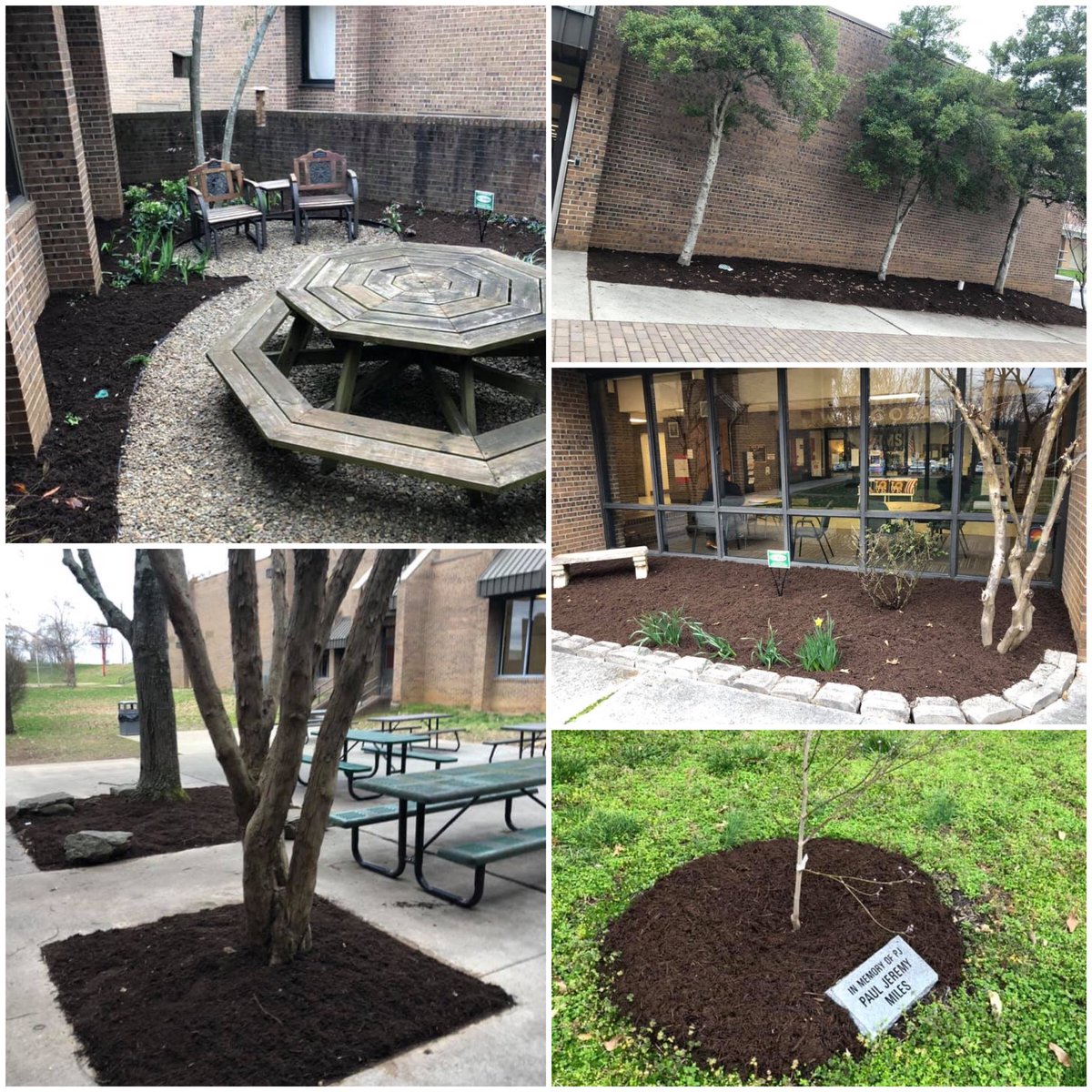 HallsMiddlePTA's tweet photo. We have partnered with SLC designs to keep our campus beautiful! They are working hard to refresh @HallsMiddle flowerbeds and courtyard to get ready for spring. Thank you SLC Designs! #HMSAllIn https://t.co/DqJGfeb0A7