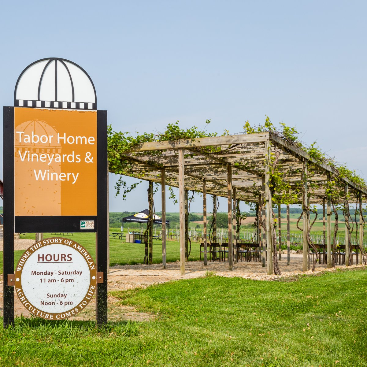 Always dreamed of having your wedding at a vineyard? Just one tour here, and you'll be ready to make it a reality.