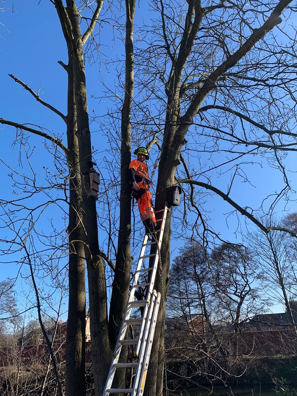 Derby City Council tweet media