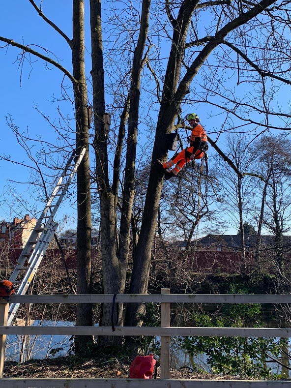 Derby City Council tweet media