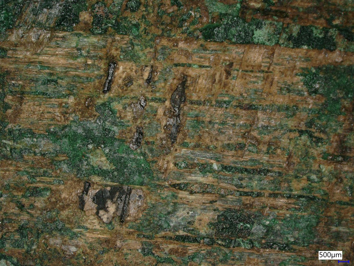 Center for Analysis of Archaeological Materials tweet media