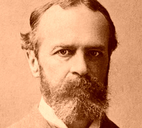 StoriaDellaMedicina tweet media