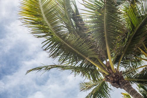 mutinyhotel's tweet photo. If you’re a #Florida resident, our amazing #perks for being #local are the perfect excuse to enjoy an impromptu #getaway. https://t.co/jPaHmXeyaQ https://t.co/HMDHDNMnP2