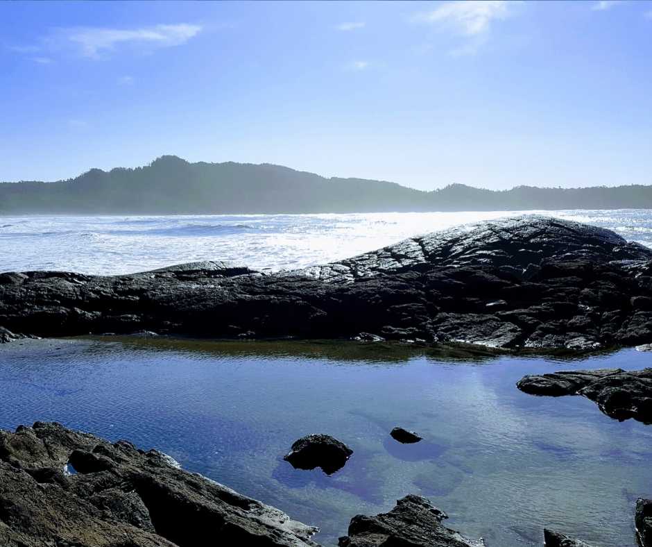 There are places we "go". Then there are places that go with us!  Vancouver Island is one of those magical, memorable places!😍