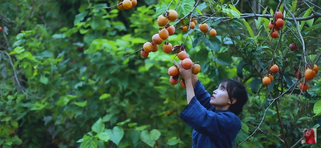 GGII MUST WATCH - Insights from #westernchina #rurallife on our website thanks to the amazing video of Li Ziqi. Take a look at this link galileiinstitute.it/ggii-must-watc…  <a href="/ChinaSantAnna/">China Sant'Anna</a>
<a href="/SantAnnaPisa/">SantAnnaPisa</a> #galileoinstitute
#ggiimustwatch
#ruralchina
