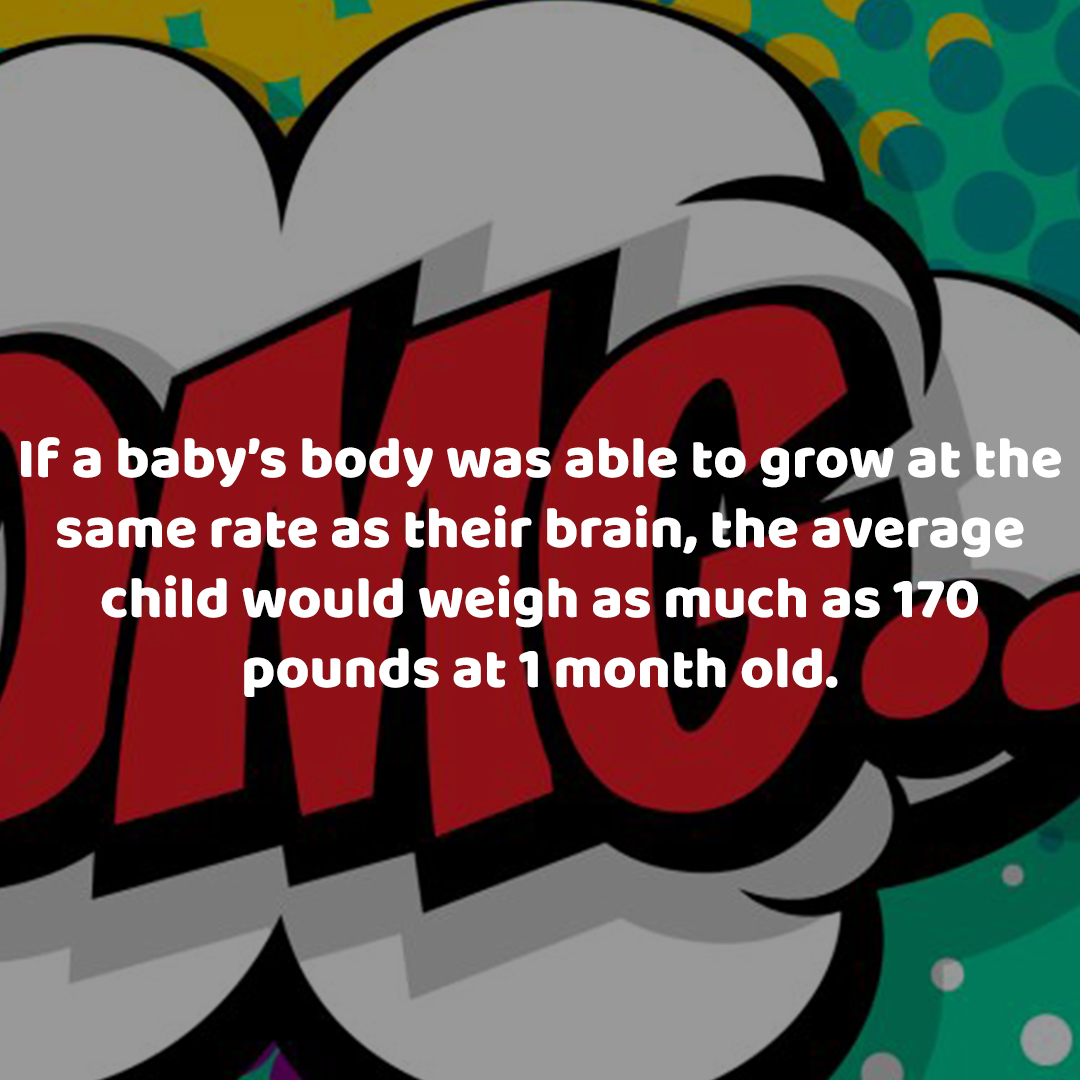 Child Development Facts

Day 23: Whoa Nelly

#parenting #child #childfacts #kidsfacts #facts