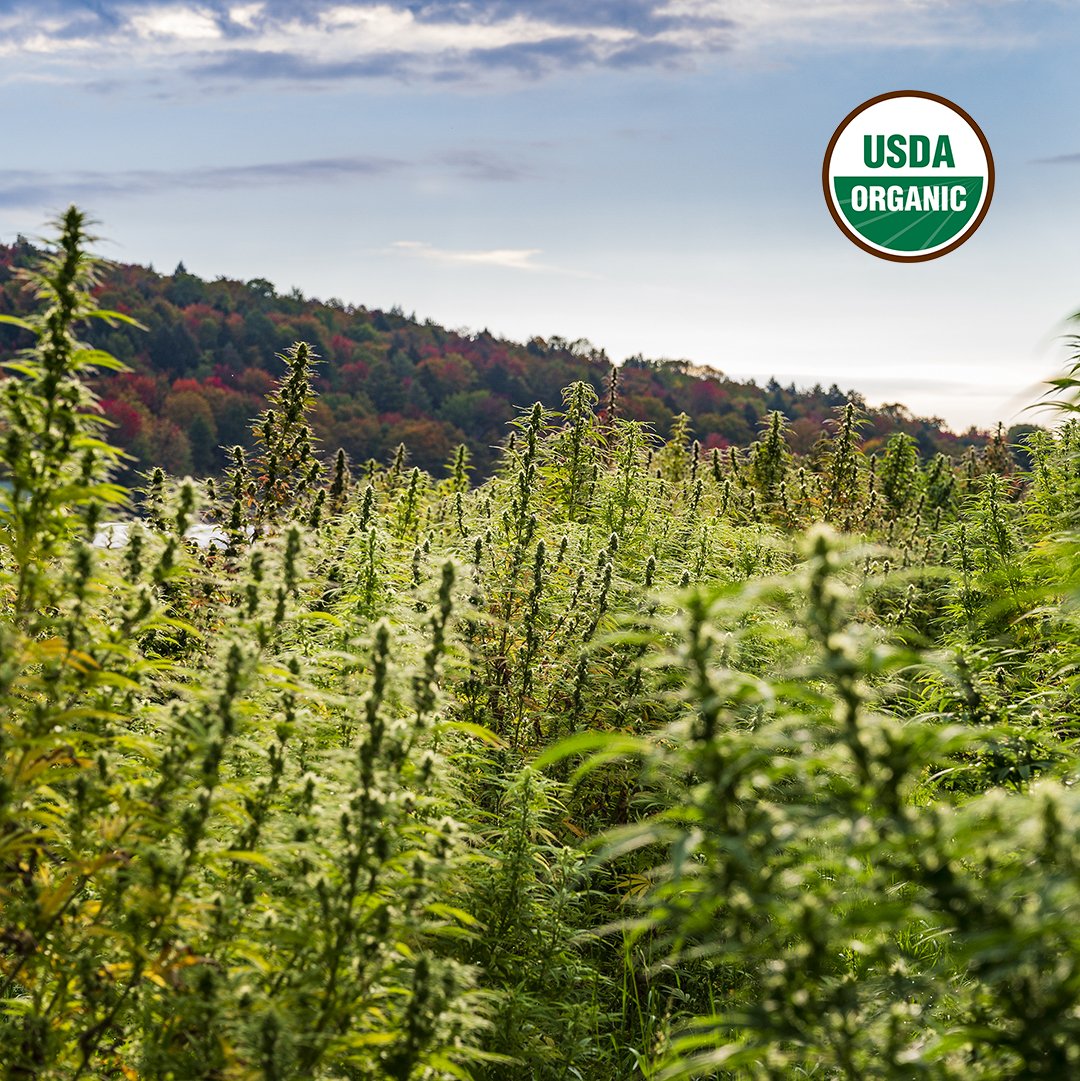 We are proud to announce that our CBD oil is USDA certified organic. Look for the organic seal on our full spectrum CBD Oil drops and CBD Coconut Oil soon. ow.ly/3O7Z50yF2vx