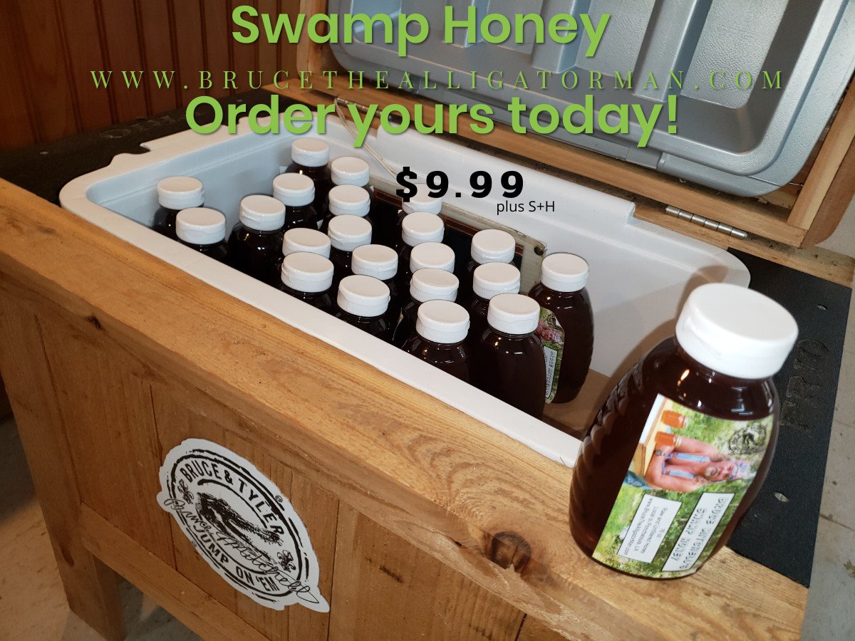 gatormanbruce's tweet photo. #swamphoney
https://t.co/vYBDCYGqRh https://t.co/ZhVzL8hbQG