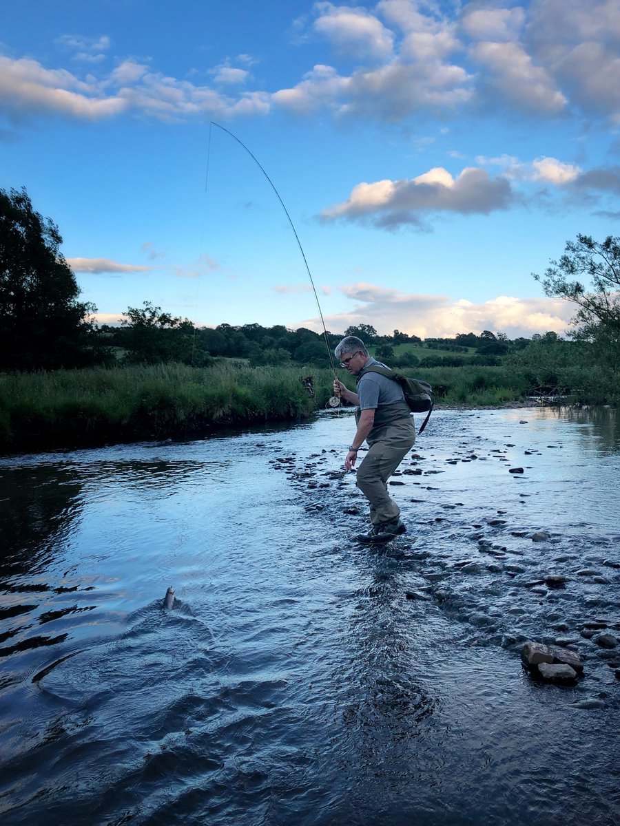 Dave Smith tweet media