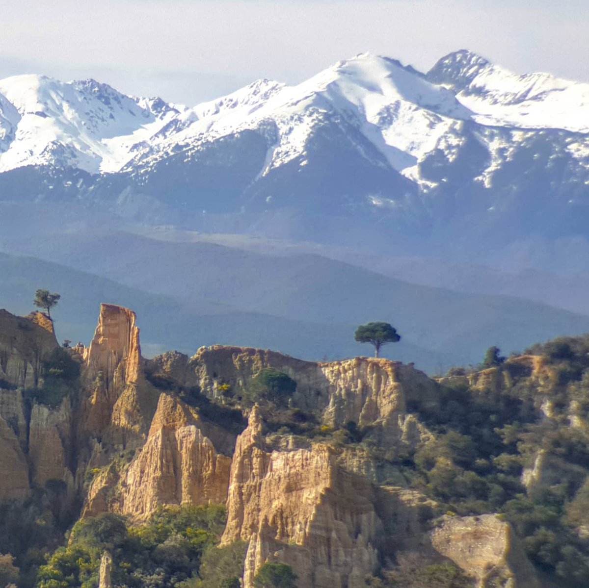 ricardrigall's tweet photo. Les Orgues, a Illa, amb el Canigó de fons. #lesorgues #illa #rosselló #catalunyanord #bicicleta #btt #mtb #hivern2020 https://t.co/zmxO4kEVaC