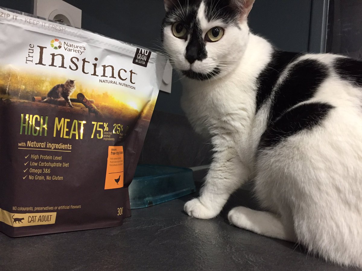 ingrid75522427's tweet photo. Pitchoune découvre True Instinct #trnd #trueinstinct #alimentationnaturelle https://t.co/v2GmUPrY4t