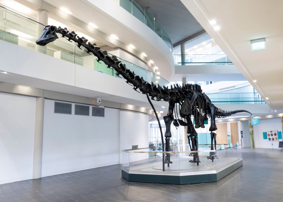 LauraEvansTeam's tweet photo. Prehistoric thinking belongs to the  dinosaurs. Time for change. #LauraEvans4GM https://t.co/msYS5ADHmE