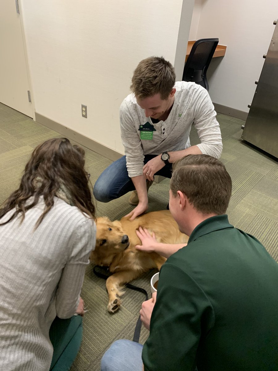 when your bring your dog in for a branch visit #allthepets #tdbank