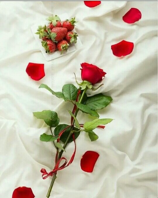 chandra12437271's tweet photo. @igtamil https://t.co/IRWnFMkNwa
