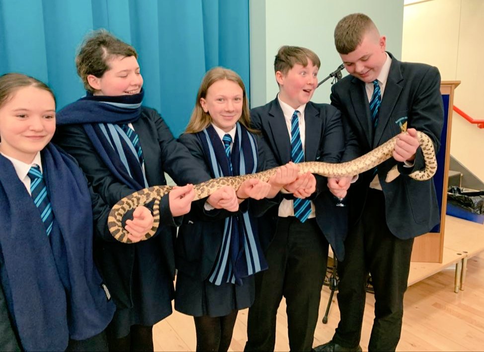 Year 9 art students met a few new friends today, to help them with their wildlife project. Thanks to Mike @WorldofOwls