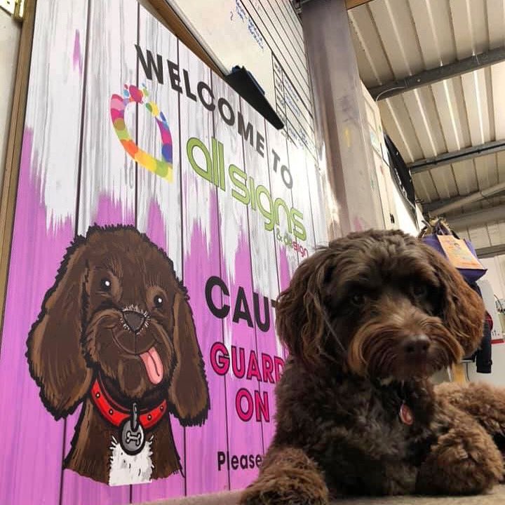 AllSignsltd's tweet image. Head of Security doing what he does best. #officeprotection #officedog #officedogs #officedogsofinstagram #sign #signs #graphicdesign #signmaker