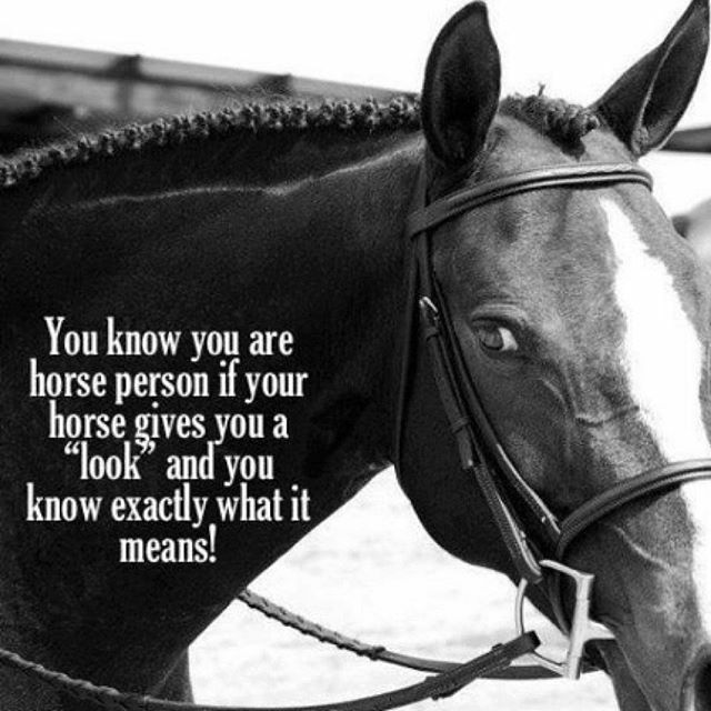 pro_equine's tweet photo. So true! https://t.co/pIwkFD3WPF https://t.co/K1A1FIMGmM