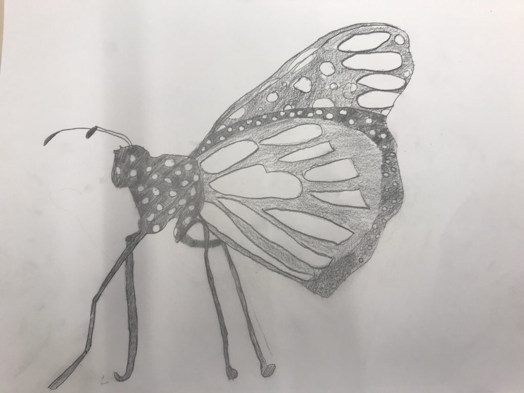 littleMissArty1's tweet photo. What makes me smile???.....when my year 5 mini artists can draw mini beasts like this!!!👏👩🏻‍🎨❤️ #ObservationalDrawing #TonalShading #ItsABugsLife #EMSMiniArtists https://t.co/Wjh8ijBUDl