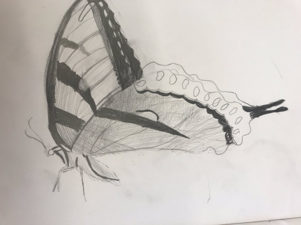 littleMissArty1's tweet photo. What makes me smile???.....when my year 5 mini artists can draw mini beasts like this!!!👏👩🏻‍🎨❤️ #ObservationalDrawing #TonalShading #ItsABugsLife #EMSMiniArtists https://t.co/Wjh8ijBUDl