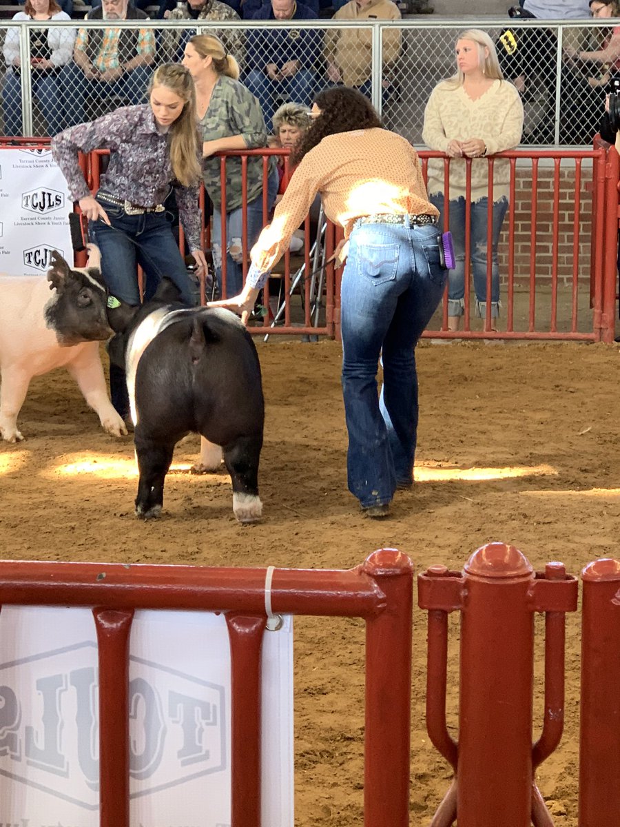 boswellhs's tweet photo. So proud of our students who showed their animals at the Tarrant County Junior Livestock Show! #TCJLS #emsproud #PioneerPride #BOSproud πππππ½ https://t.co/3vjMYk0ko0
