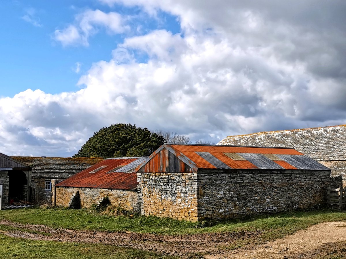 CazR1chards's tweet photo. And the rest is rust and stardust"...
~Vladimir Nabokov
Beautiful gin clear light this afternoon at #Spyway
#dancingledge @NTSouthWest #Purbeck #Dorset #NaturePhotography #naturelover #ThePhotoHour https://t.co/5pUXpELmOI