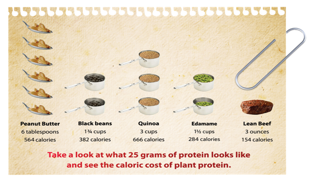 bigfatsurprise's tweet photo. Does @CNN realize Harvard (author of 2 studies mentioned here) is leader of vegan advocacy? Harvard papers funded by nut industry+other vegetarian interests. https://t.co/5CUeMmroQg CNN might note: protein from nuts/plants way higher in calories (and plant proteins not complete) https://t.co/RJgdnVdqwC