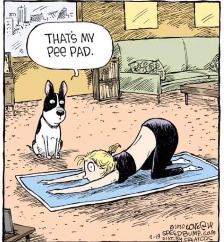 Getting a little too up close and personal with your pet? Try our WizSmart All Day Dry Dog Pads instead. Offer your pet a smarter choice! Take $2 off at Amazon.com this week: amzn.to/2VOLDDi #wizsmart #dogs #dogtraining