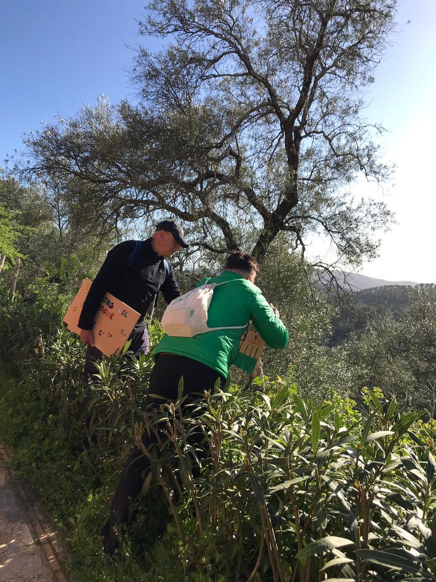 aytoalmonaster's tweet photo. ‘Almonaster por el Clima’ señalizando el sendero de La Ronda exterior de la Muralla #AxC fruto del taller Los Ojos del Bosque de @BabelNature 😍 #Almonaster https://t.co/5CBtUfznHf