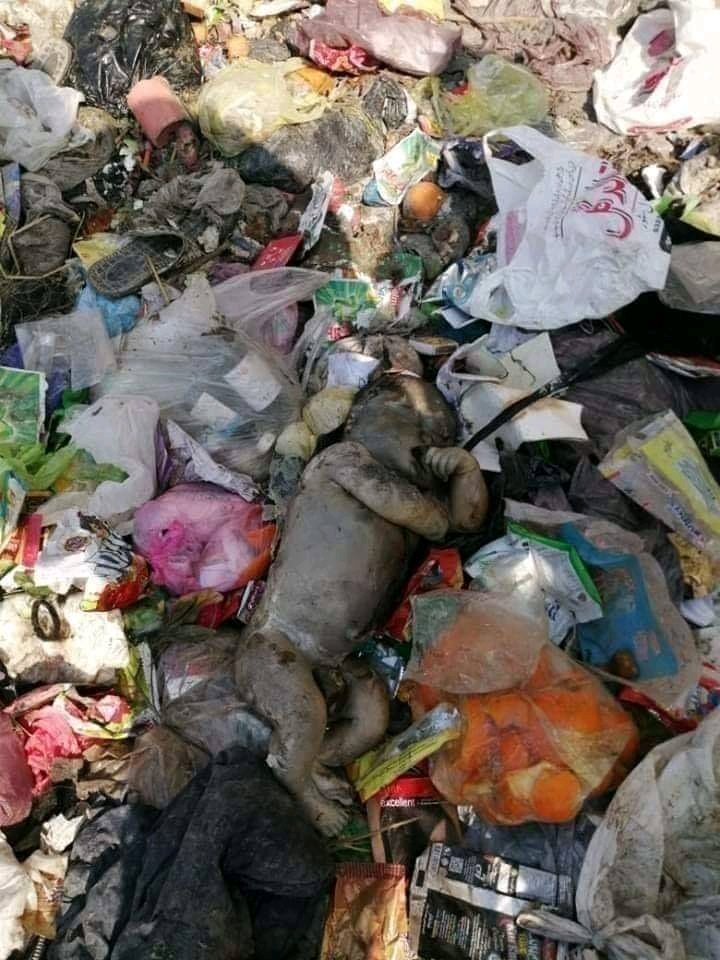 MAliHisbani786's tweet photo. This is often the result of "Mera Jism Meri Marzi" 😢 #StopAuratBarbadiMarch https://t.co/qyYlZZMK3C