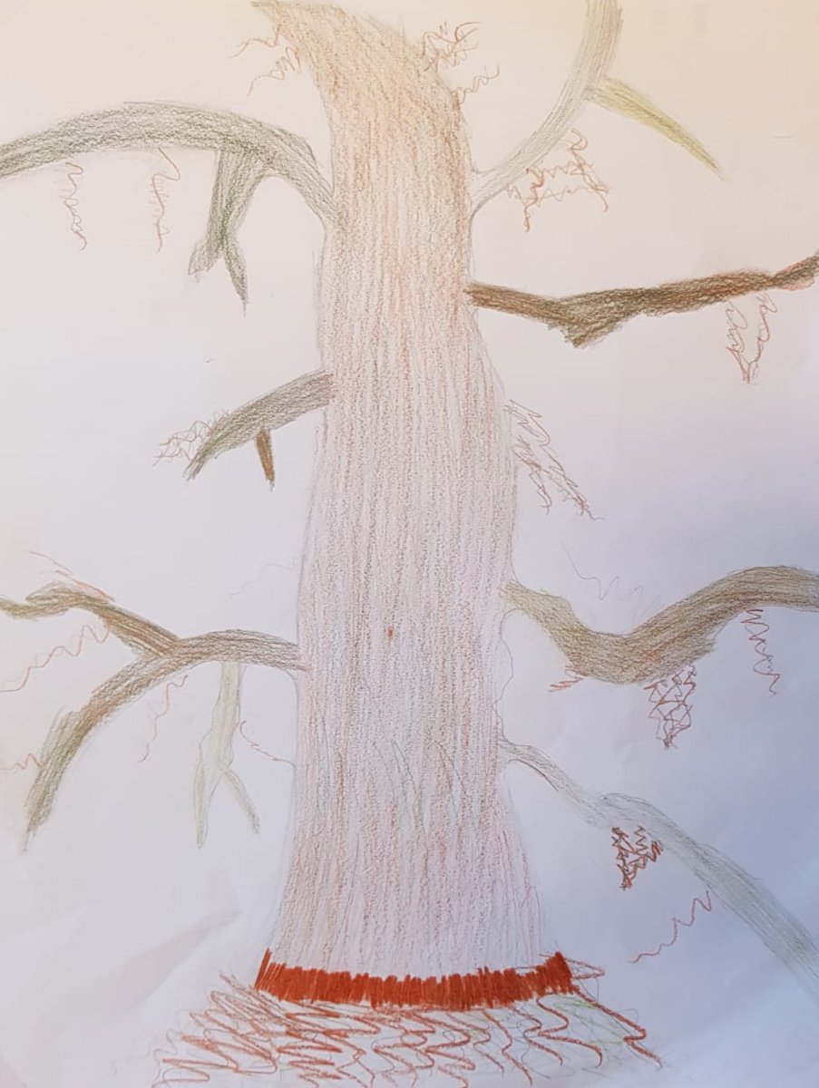 TreeoftheYear's tweet photo. Congratulations to the winners of our #ETOTY2020 children's art contest in The Netherlands! All of the entries were very creative and spooky!
1st Place: Ilona
2nd Place: Mare Peÿs
3rd Place: Len
#TreeOfTheYear
#TreeStories
#TreesInNeed
#Netherlands
#witchtree https://t.co/op1DpINZ8K