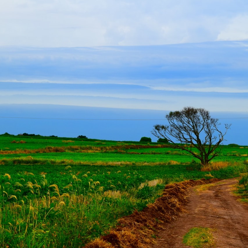 FCA UNER tweet media