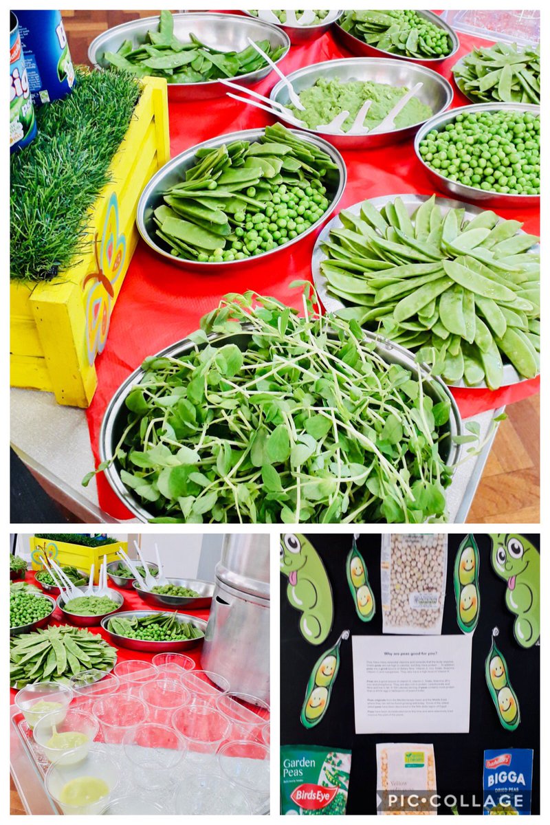 We had a hap pea week week this week @BurtonG_Primary trying #peasoup and #peasinapod @VegPowerUK #EatThemToDefeatThem <a href="/chandco/">CH&CO</a>