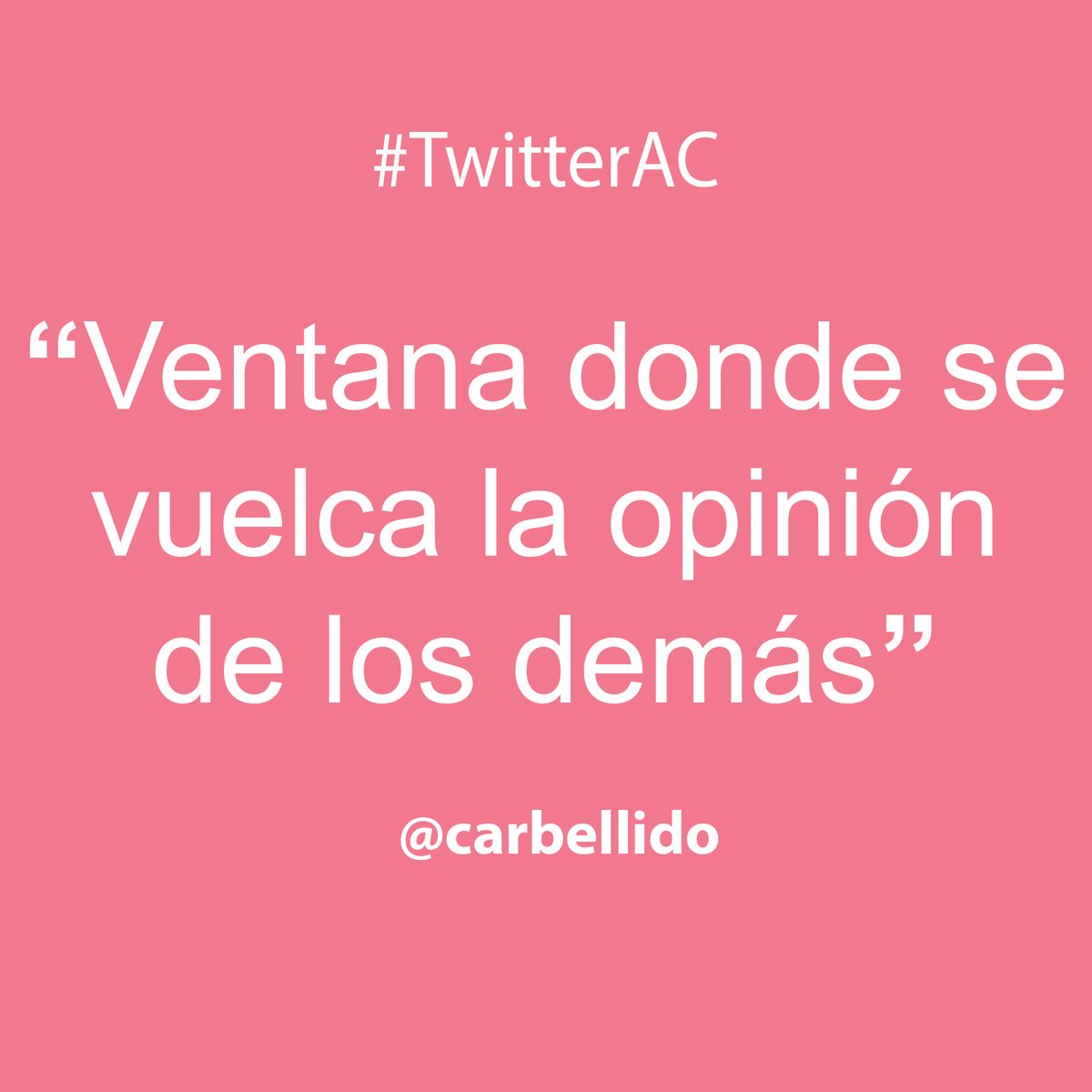 María Gallén tweet media