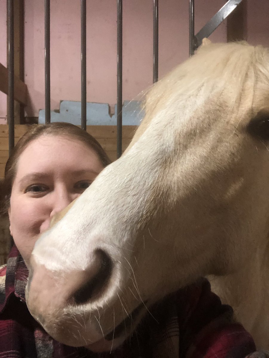 Today at the #StoneybrookFoundation, <a href="/stepupwest/">STEP UP Westmoreland</a> members took a detailed tour of the #therapeuticriding center. We are looking forward to a positive partnership! #wiuproud