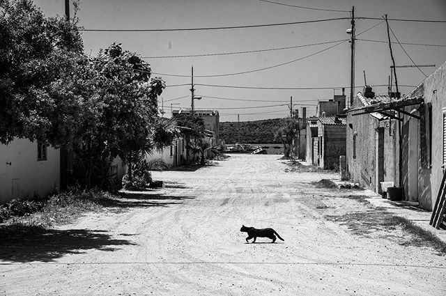 cgalletti's tweet photo. High Noon

#streetphoto #streetphotography #urbanstreetphotogallery #storyofthestreet #streetphotographers #streetphotographerscommunity #streets_storytelling #streetlife_awards #timeless_street #street_photography #SPiCollective #gf_streets #life_is_sce… https://t.co/hRfGE4rm9Y https://t.co/4XevRl1O3m