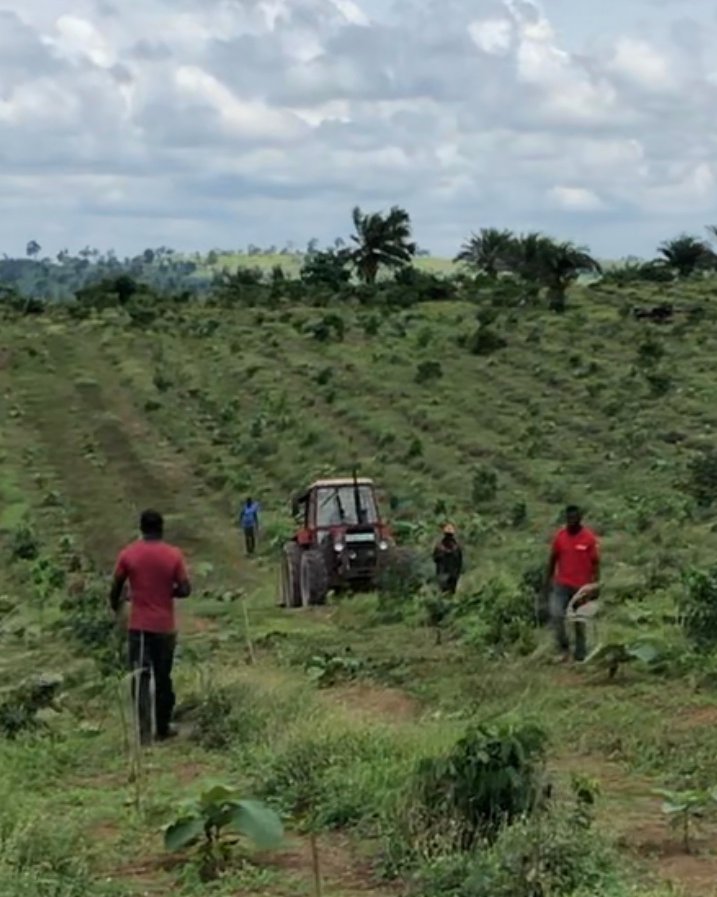 MerePlantations's tweet image. 🎉 Celebrating women in forestry ahead of #InternationalWomensDay2020. 3⃣ of our female forestry employees are being trained for tractor Operation, Management and Maintenance ♀️🚜🇬🇭
#sustainablemechanization #EachforEqual #SDG5